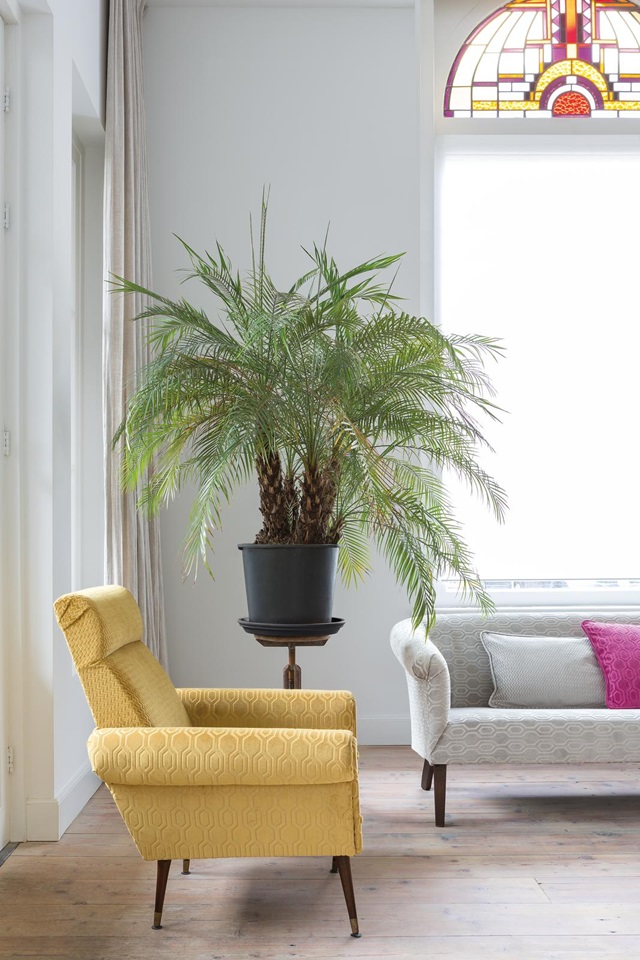 Bộ sưu tập rèm Acacia 2