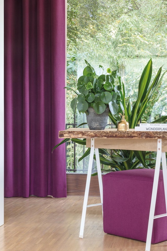 Bộ sưu tập rèm Acacia 4