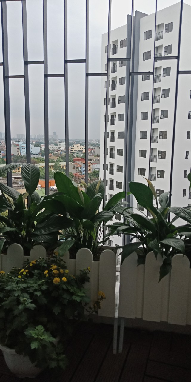 Nhà chị Hà - G1 1002 LGJ