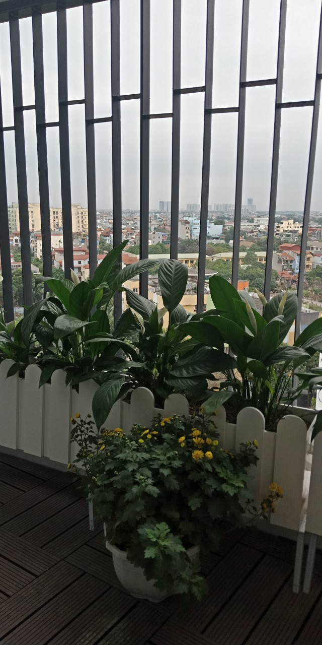 Nhà chị Hà - G1 1002 LGJ