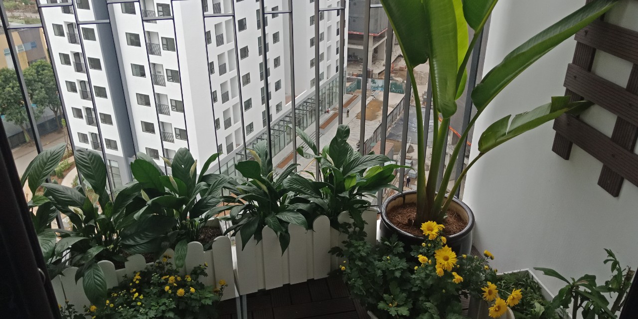 Nhà chị Hà - G1 1002 LGJ