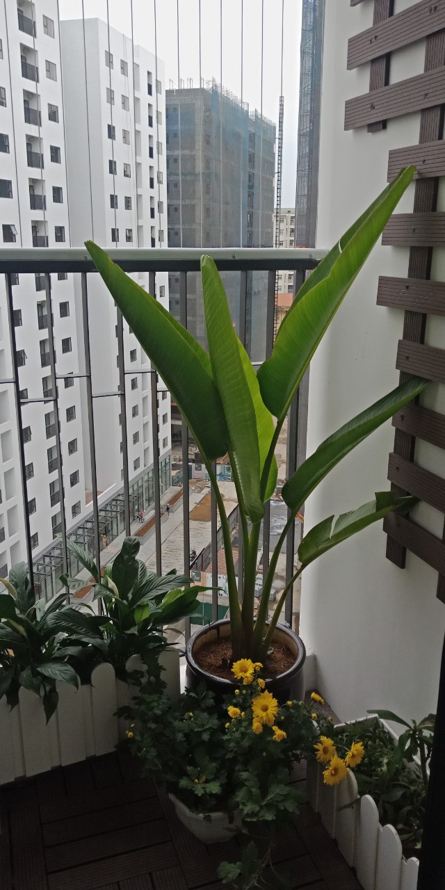 Nhà chị Hà - G1 1002 LGJ