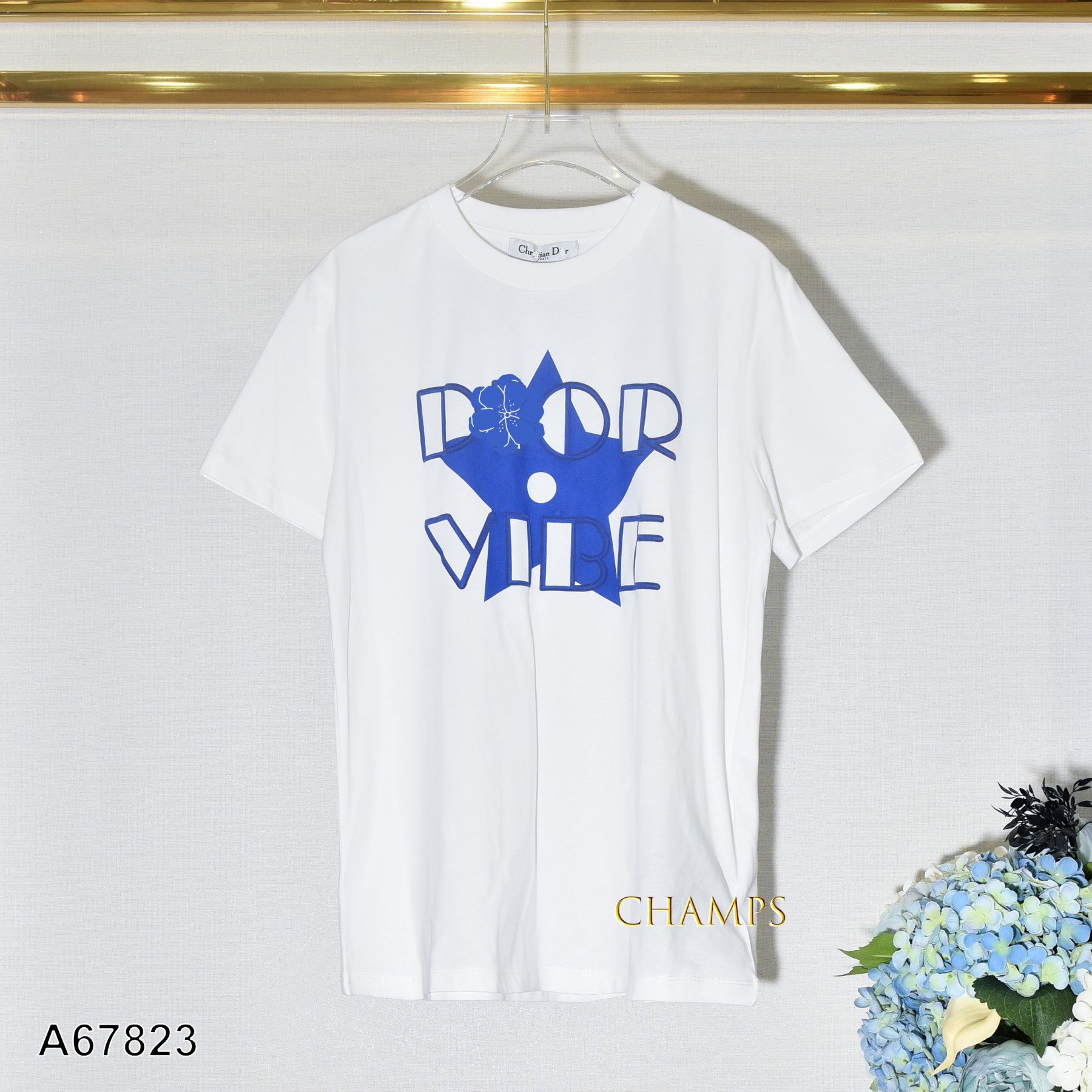 ÁO THUN TRẮNG DIOR XANH HÌNH 67823