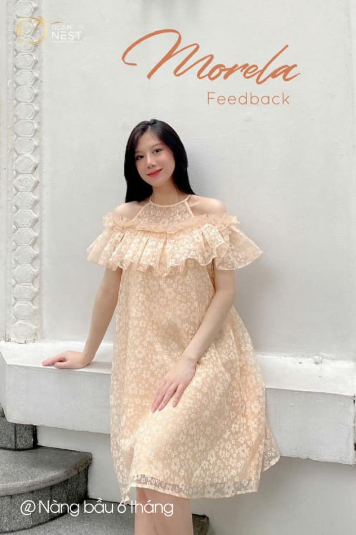 Morela Dress (Váy Ren Mai)