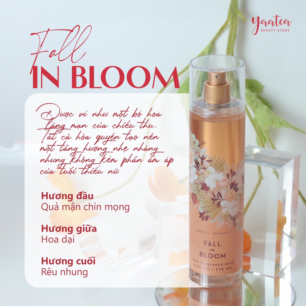 Xịt thơm Bath & Body Works 236ml