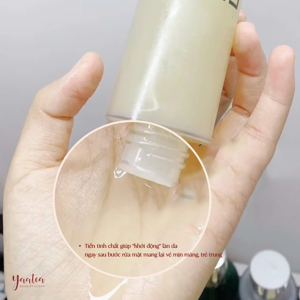 Nước Thần CNP Propolis Treatment Ampule Essence