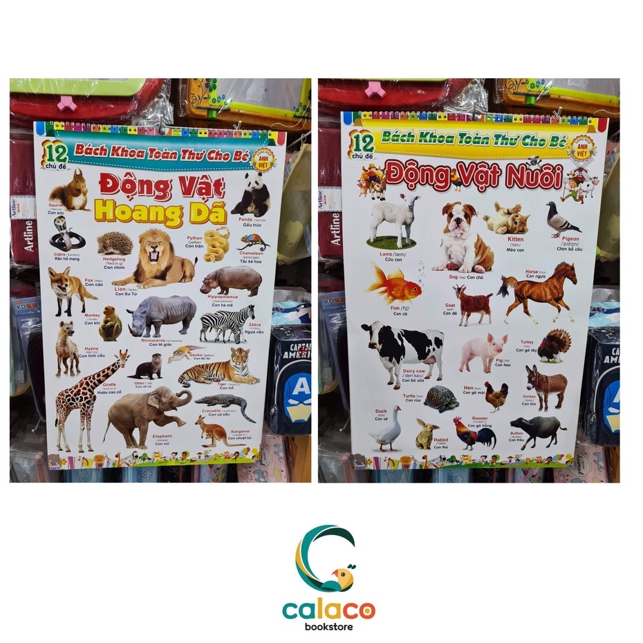 Bách Khoa Toàn Thư Song Ngữ 12 Chủ Đề Cho Bé (Treo Tường)
