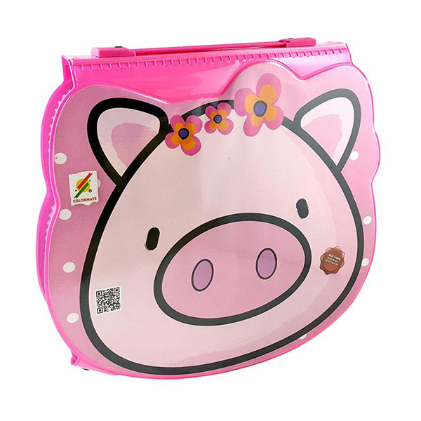 Bộ Màu Vẽ Đa Năng Hộp Nhựa Colormate CM-66PLS