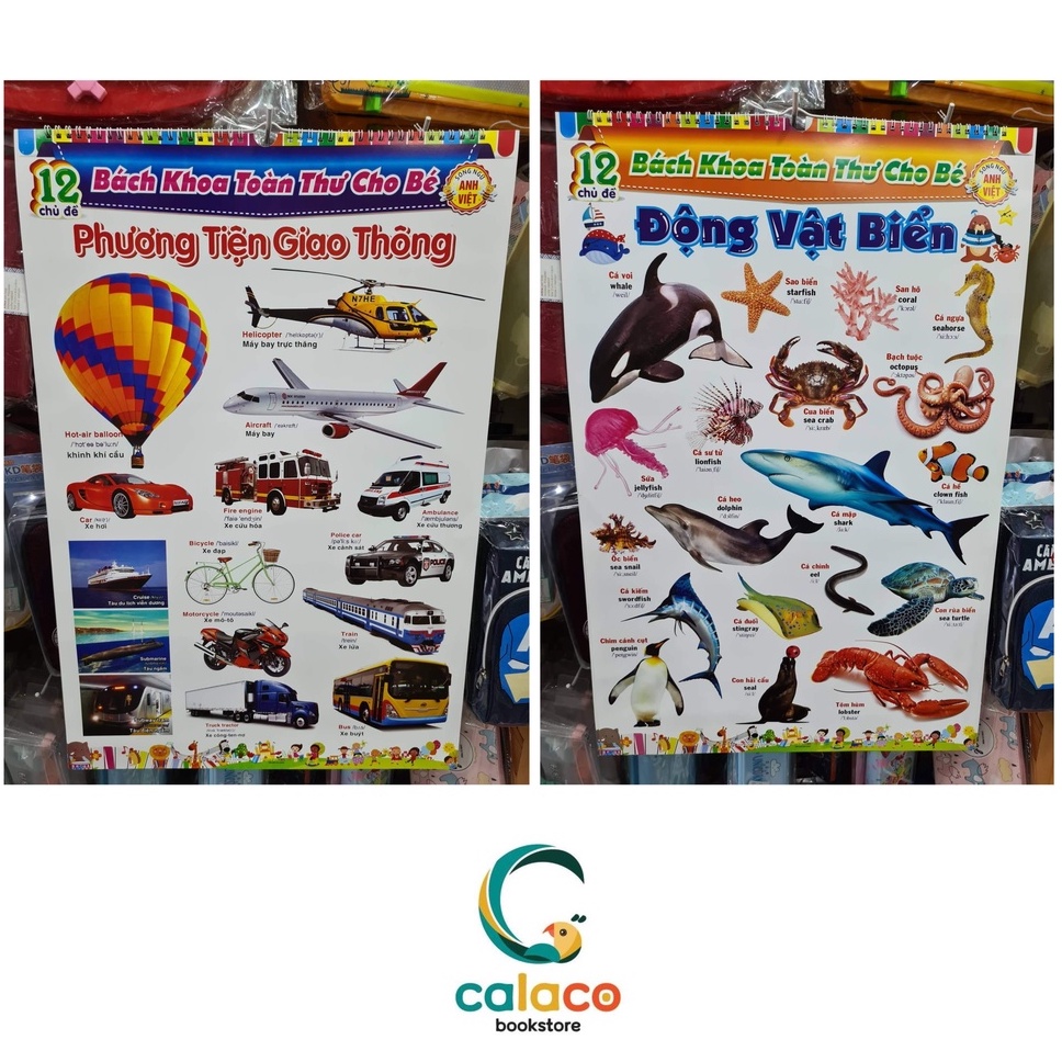 Bách Khoa Toàn Thư Song Ngữ 12 Chủ Đề Cho Bé (Treo Tường)