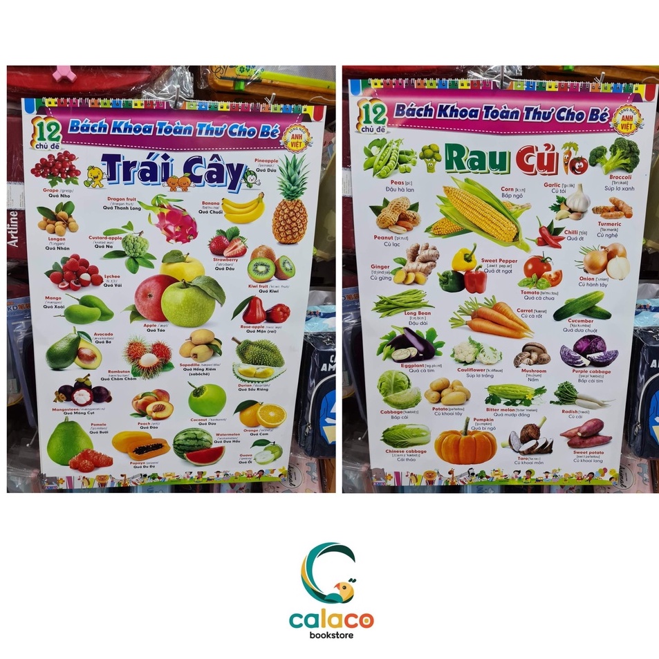 Bách Khoa Toàn Thư Song Ngữ 12 Chủ Đề Cho Bé (Treo Tường)