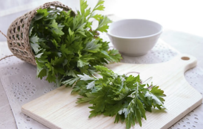 MỘT SỐ BÀI THUỐC CHỮA ĐAU LƯNG TỪ NGẢI CỨU