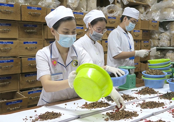 Tập trung phát triển y, dược cổ truyền trong khám chữa bệnh