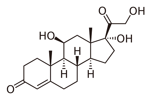 corticoid-la-gi-vai-tro-va-chuc-nang-cua-corticoid