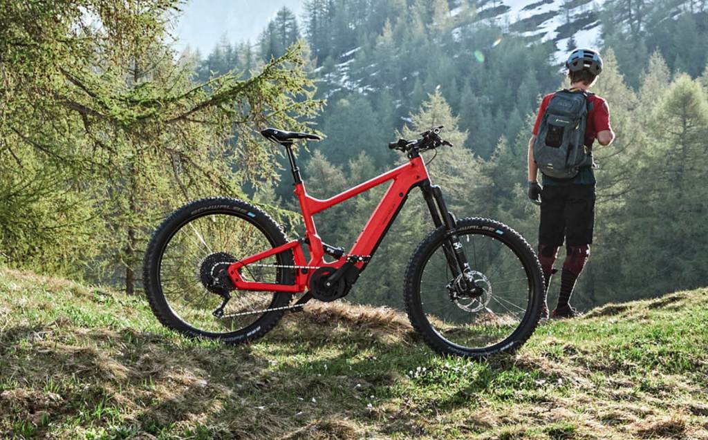 R&M DELITE MOUNTAIN - XE ĐẠP ĐIỆN GIÁ GẦN 300 TRIỆU ĐỒNG