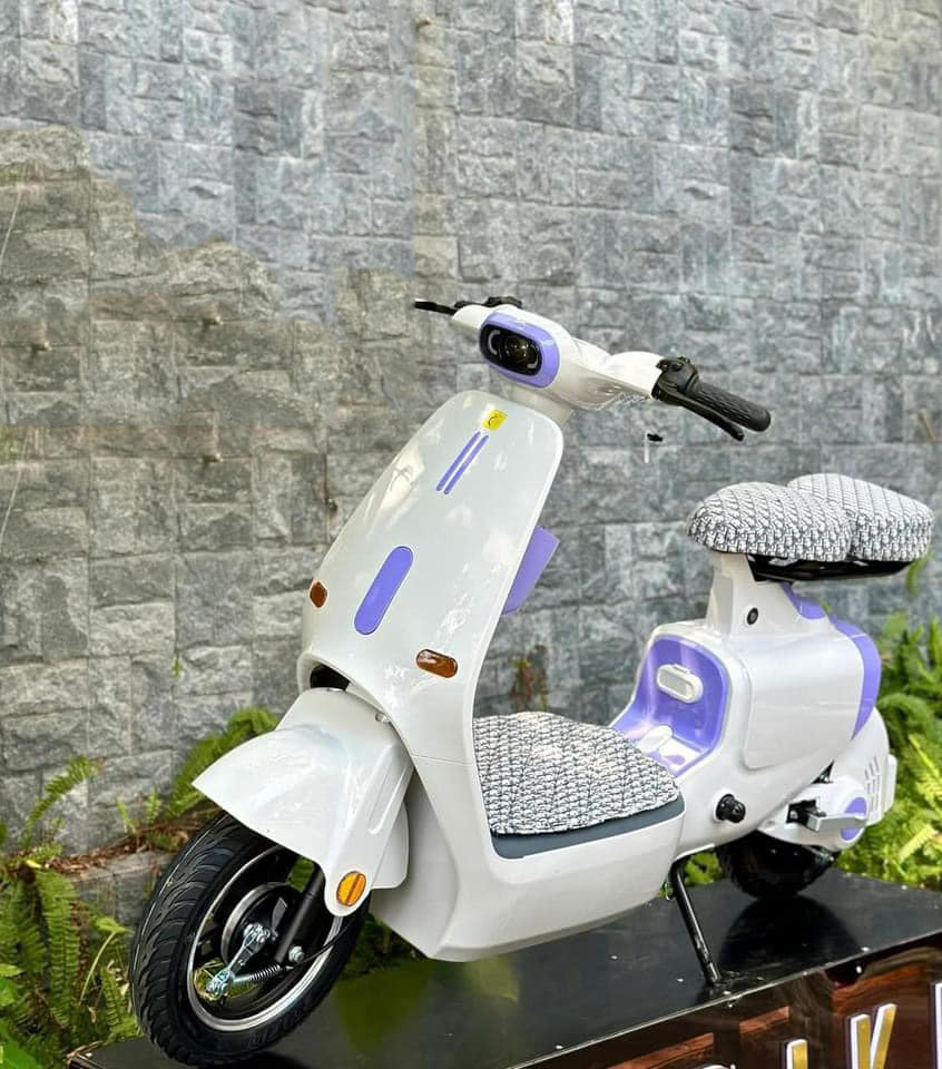 XE ĐIỆN THƠI TRANG DYLEXE K1