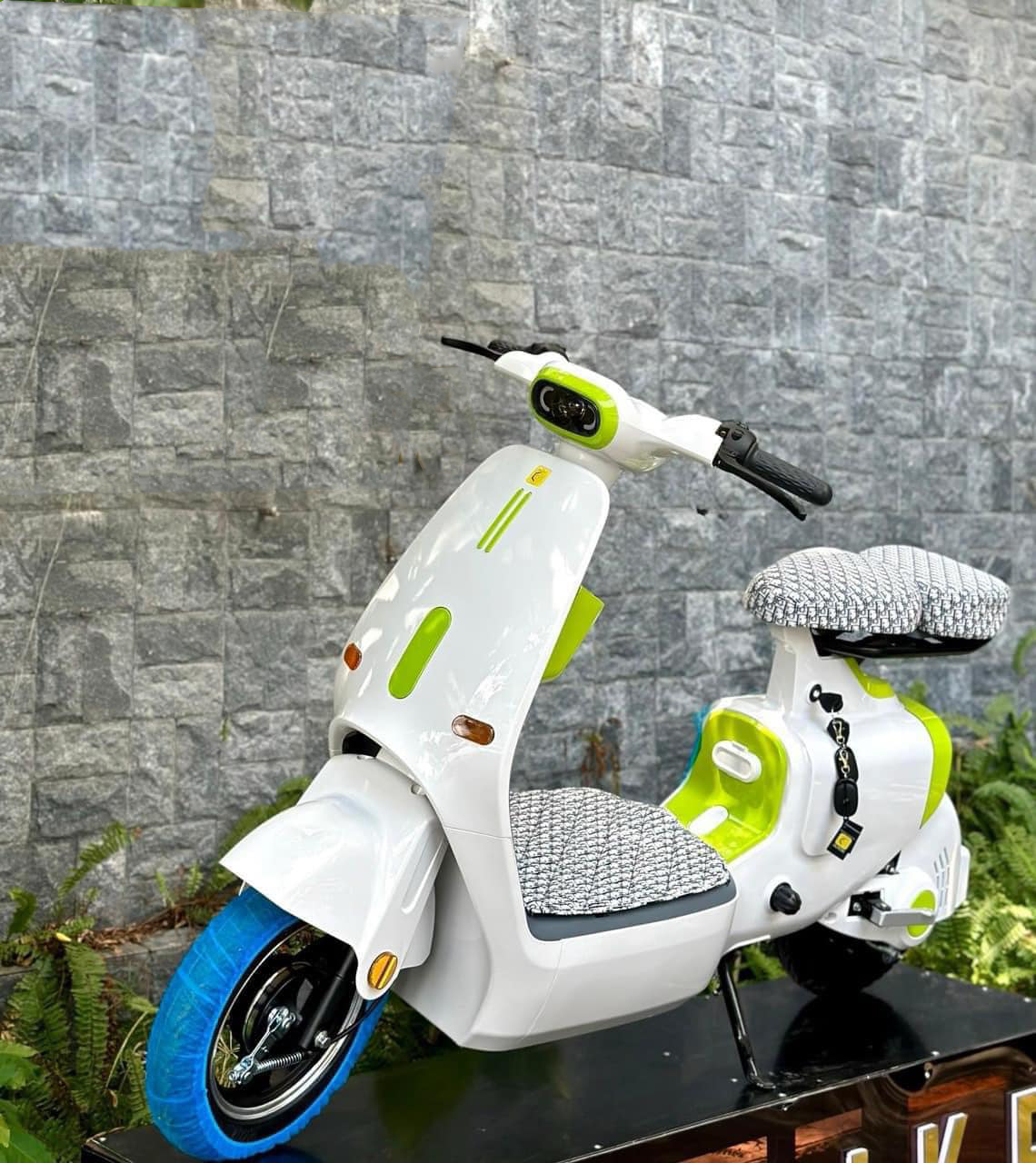 XE ĐIỆN THƠI TRANG DYLEXE K1