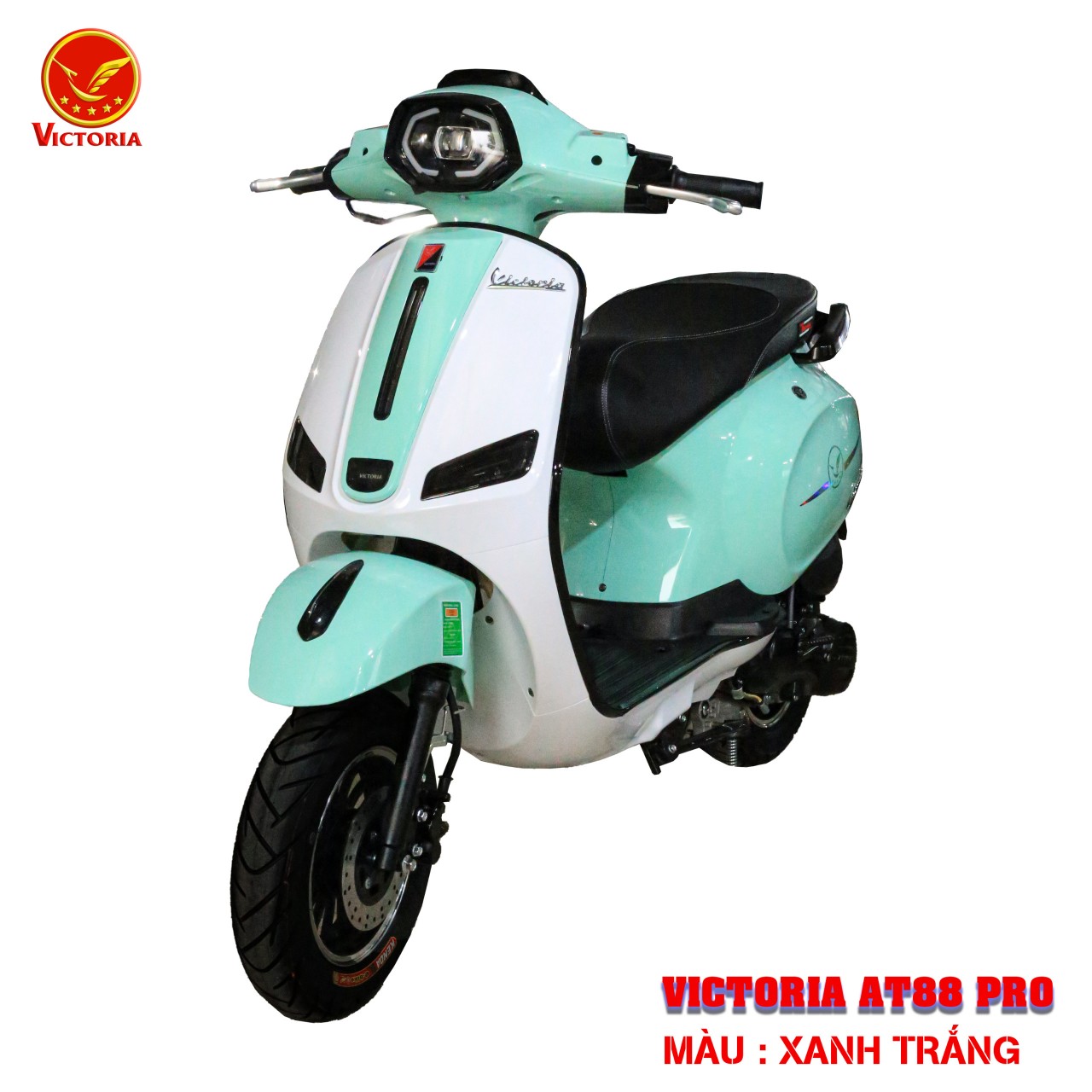 XE GA 50CC VICTORIA AT88 PRO