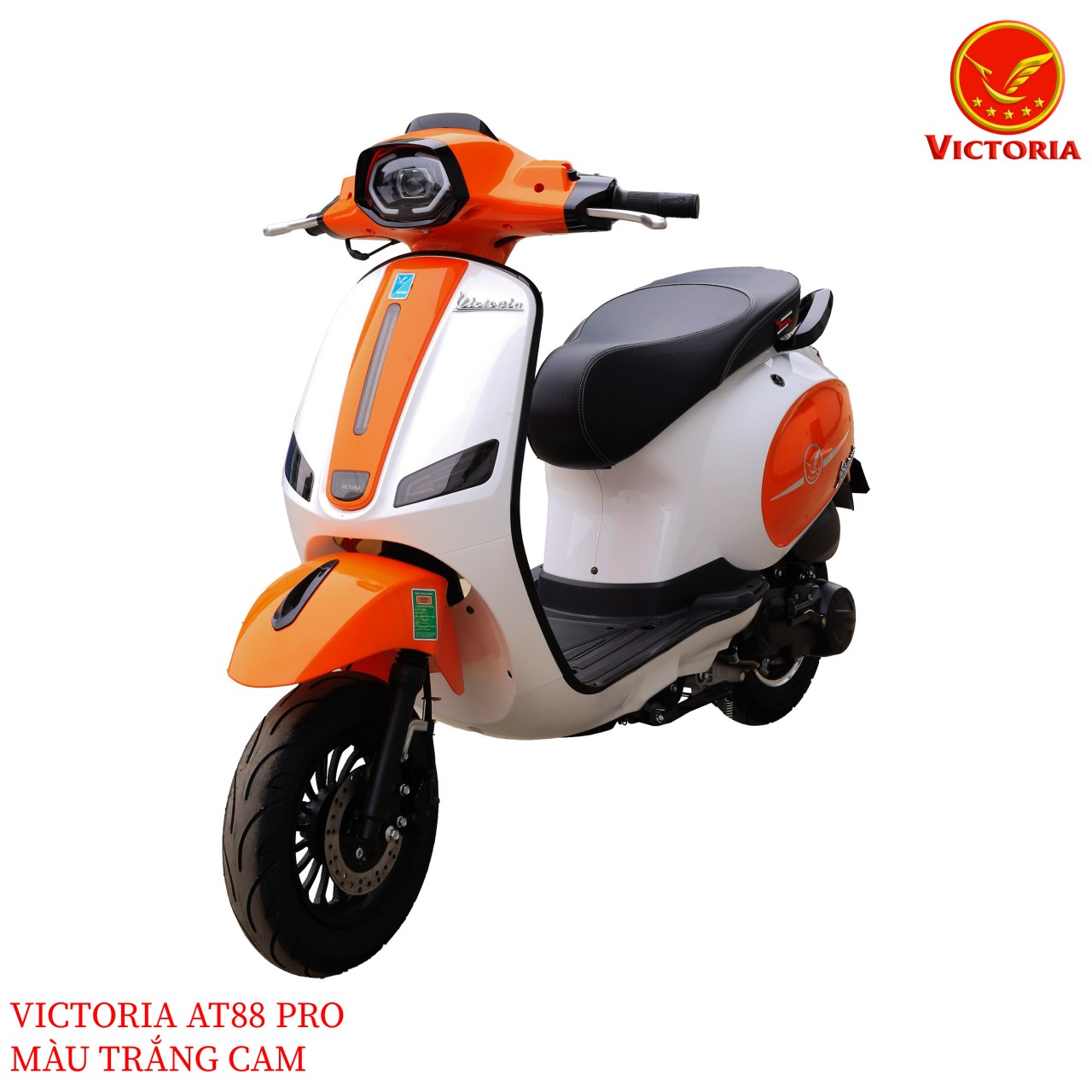 XE GA 50CC VICTORIA AT88 PRO