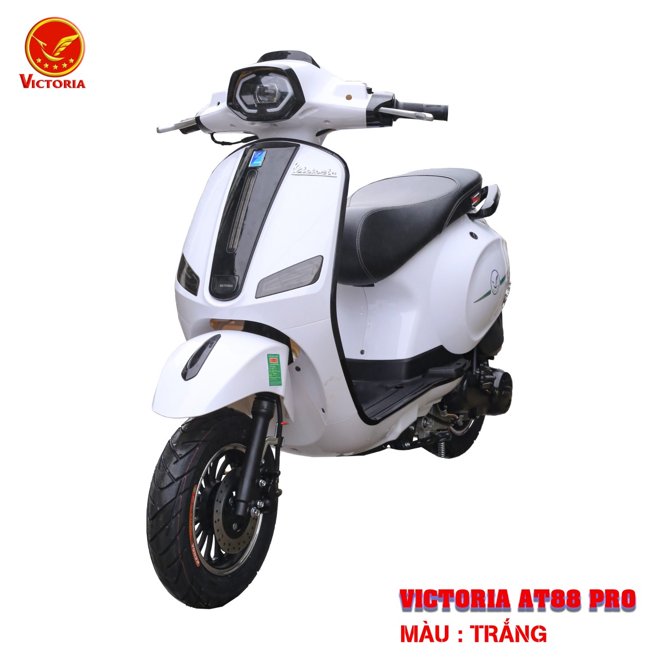 XE GA 50CC VICTORIA AT88 PRO