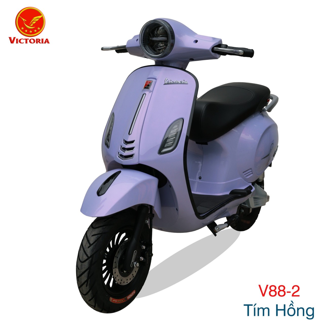 XE MÁY ĐIỆN VICTO V88 - PRO