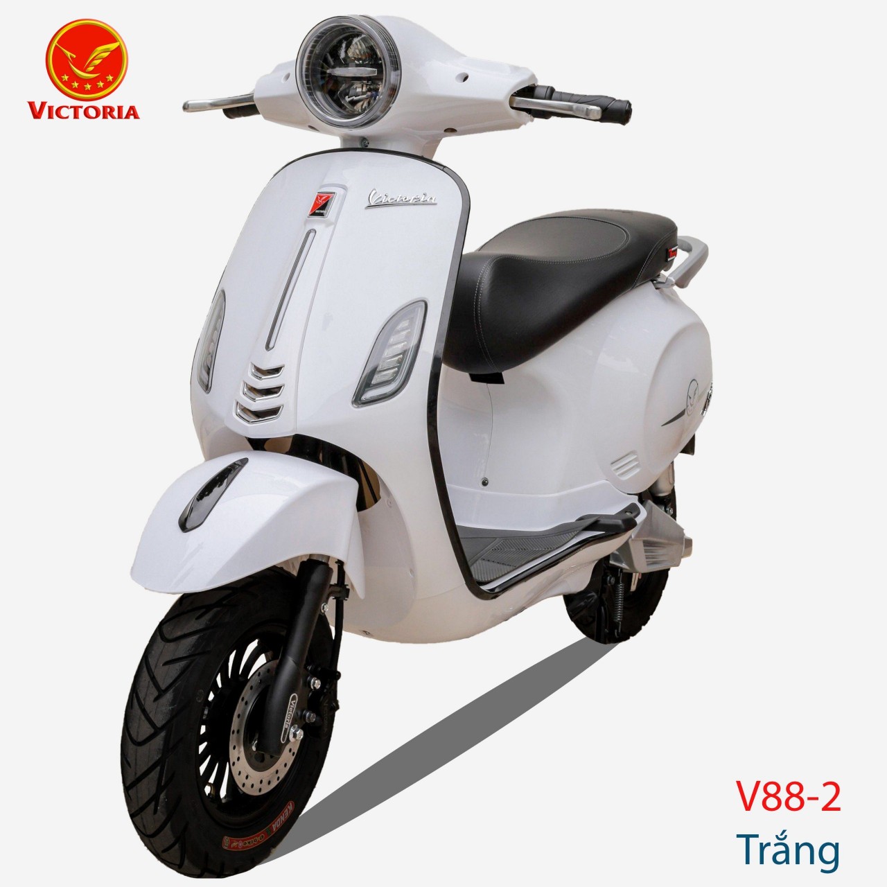 XE MÁY ĐIỆN VICTO V88 - PRO