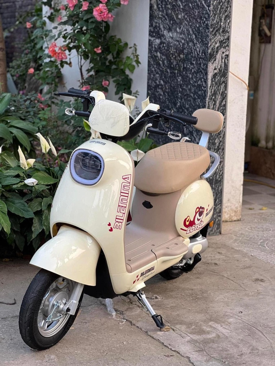 XE ĐẠP ĐIỆN NHẬP KHẨU Q10