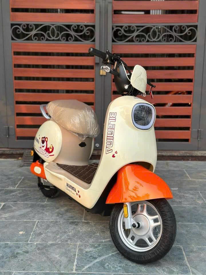 XE ĐẠP ĐIỆN NHẬP KHẨU Q10