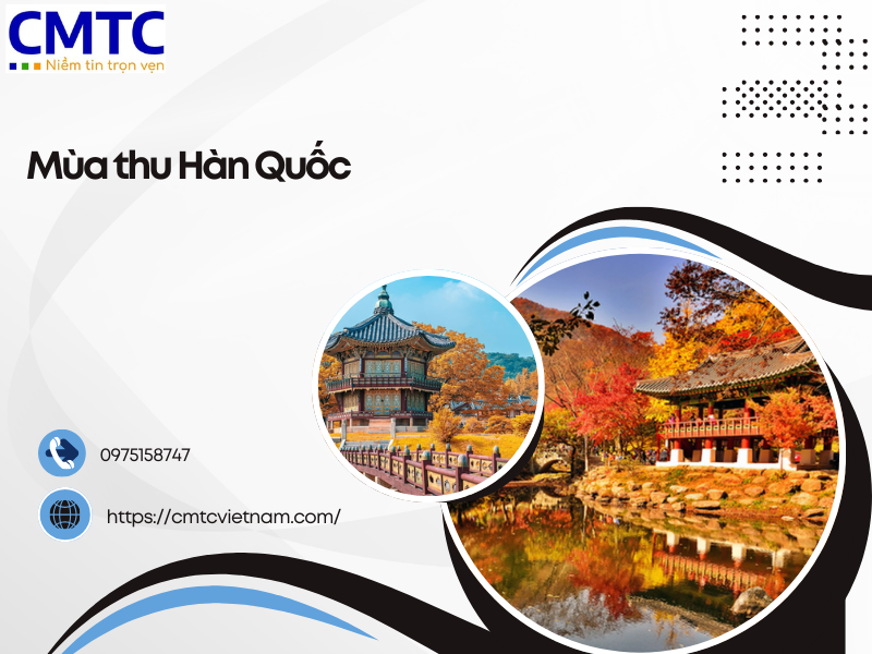 4 Lý do nên đi du lịch vào mùa thu Hàn Quốc
