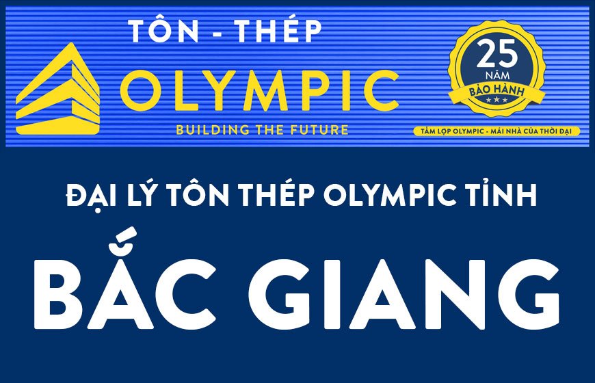 Đại lý tôn Olympic tại Bắc Giang: Địa chỉ mua tôn uy tín, chính hãng