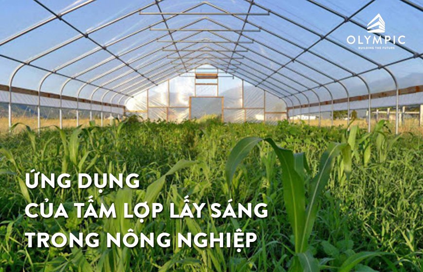 Khám phá những ứng dụng của tấm lợp lấy sáng trong nông nghiệp