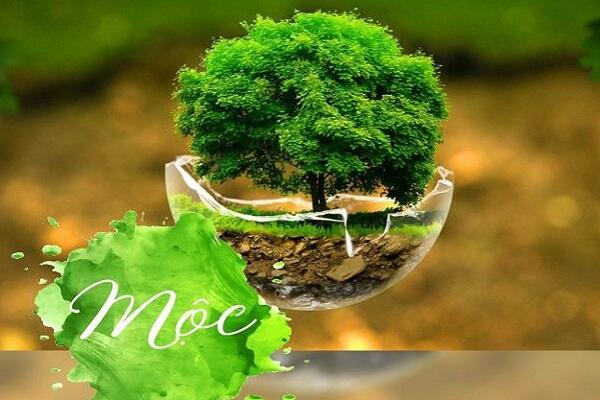 Gia chủ mệnh Mộc thường mang trong mình tính cách mạnh mẽ, kiên nhẫn và sáng tạo