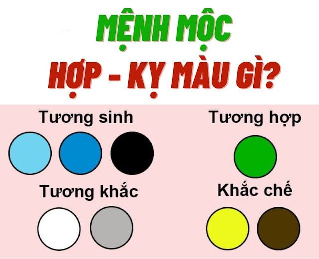 Màu sắc theo quan hệ ngũ hành của người mệnh Mộc