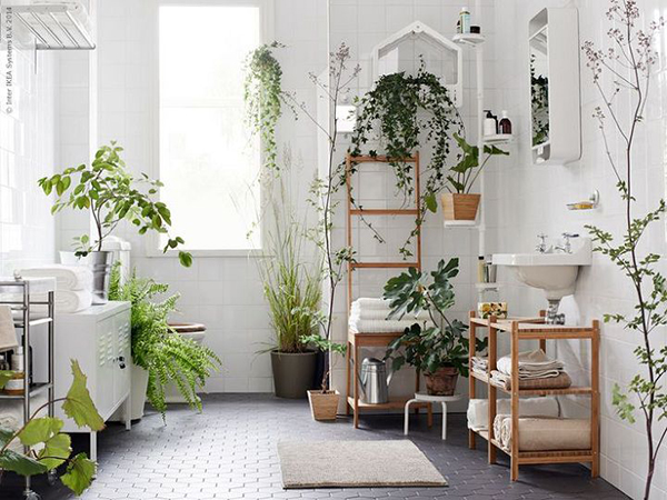 Trang trí bằng cây xanh làm cho phòng tắm trở nên độc đáo