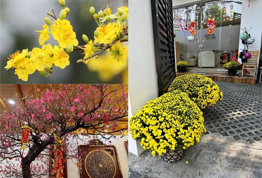 Gia chủ nên chọn màu hoa phù hợp với không gian tổng thể, tránh quá nhiều màu gây rối mắt