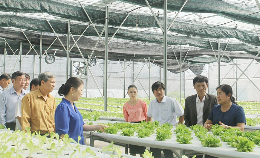 Thép hộp vuông mạ kẽm 16x16 vừa có thể làm khung nhà kính vừa có thể làm bệ đỡ cho cây trồng giúp tăng năng suất