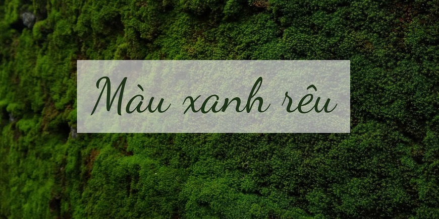 Lựa chọn màu xanh rêu để lợp mái công trình không chỉ giúp đẹp mắt, thoáng mát mà còn mang lại năng lượng tích cực cho gia chủ