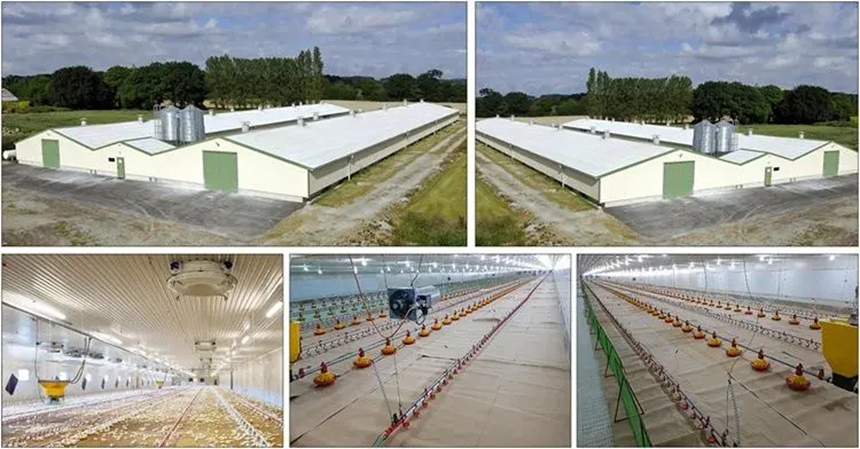 Lợp mái tôn cho chuồng trại là một lựa chọn phổ biến và hiệu quả trong xây dựng