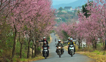 nhung-dieu-can-luu-y-khi-chon-xe-may-de-du-lich-tai-da-lat