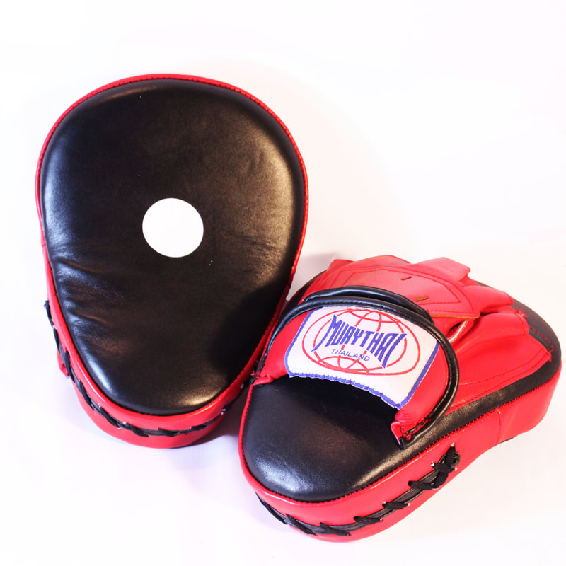 SRS PUNCHING FOCUS MITTS