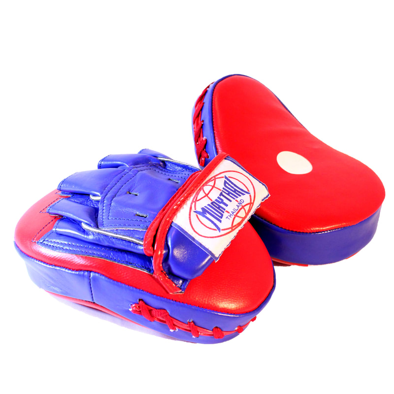 SRS PUNCHING FOCUS MITTS