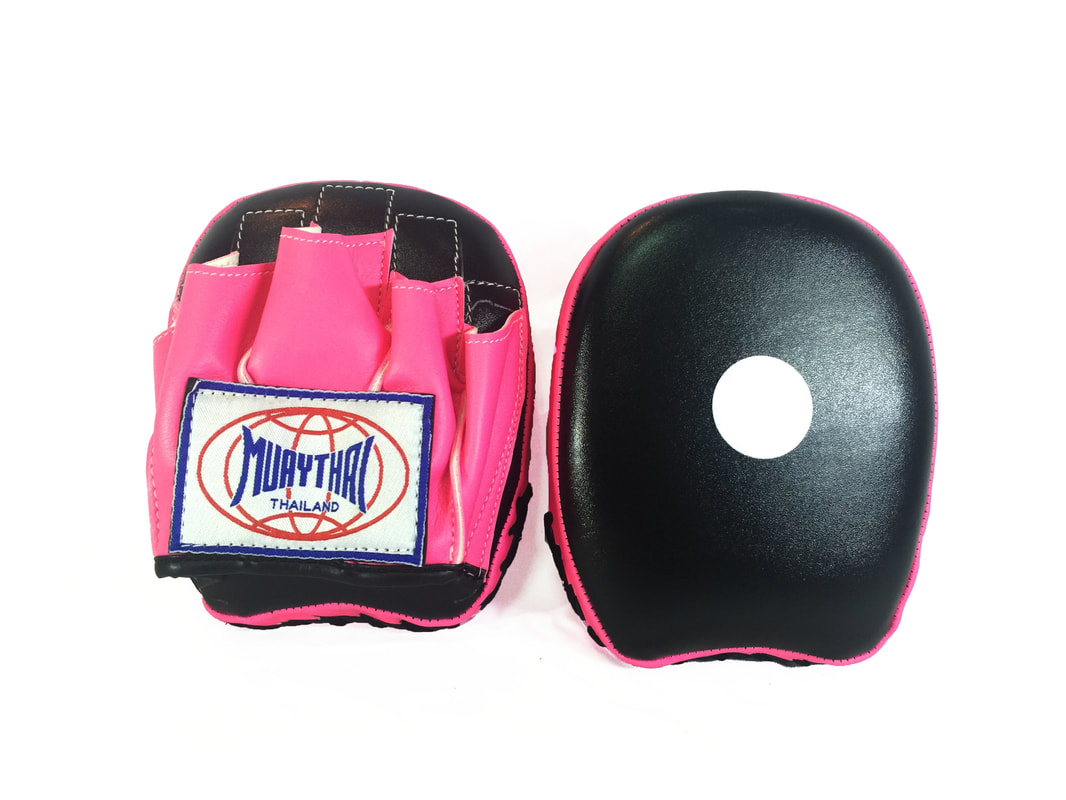 ĐÍCH ĐẤM MINI FOCUS MITTS ( CONG )