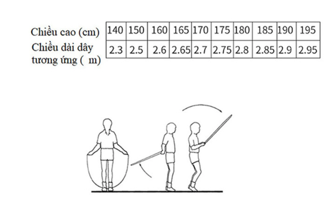 DÂY NHẢY THỂ DỤC - THỂ LỰC
