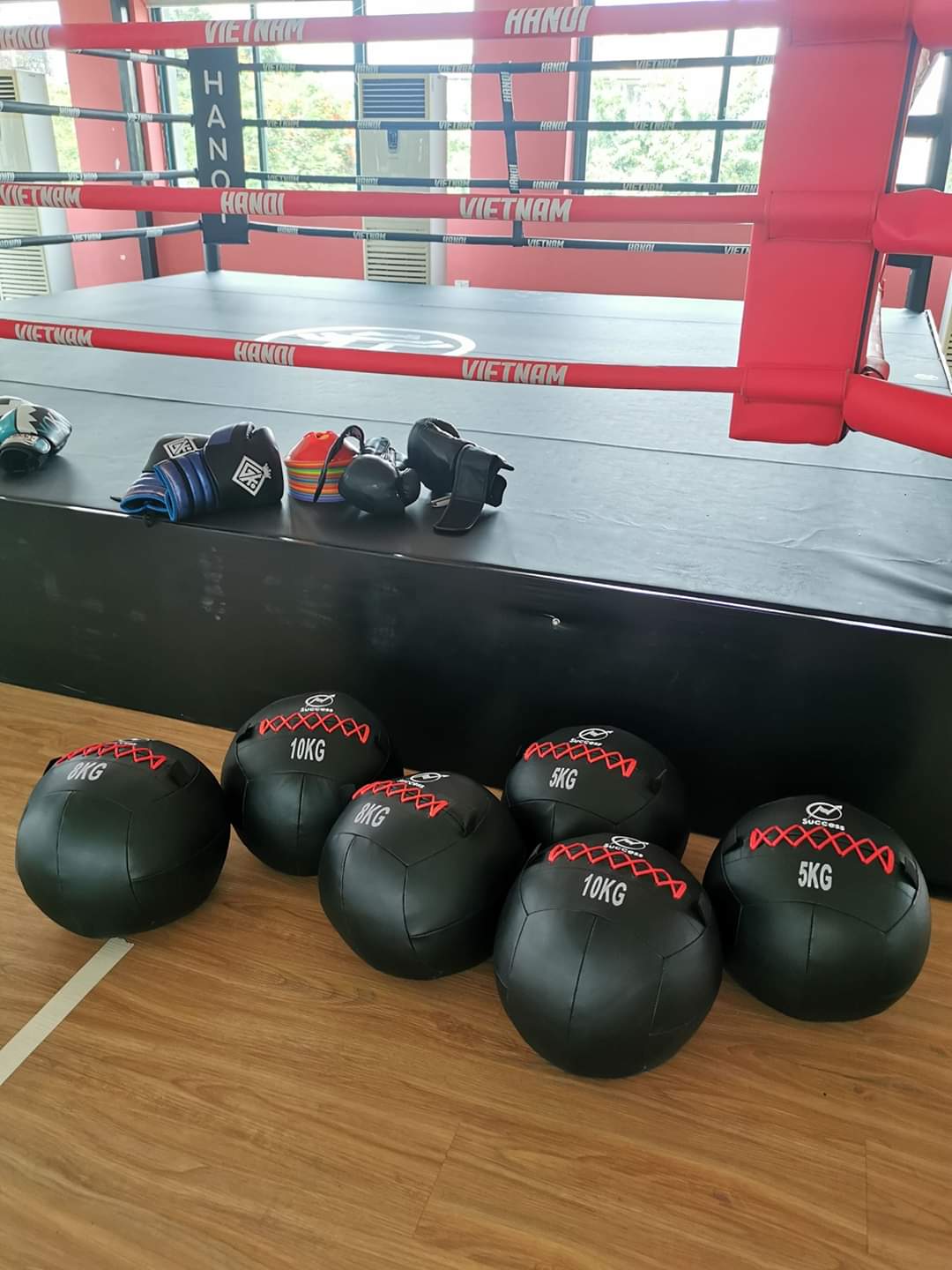 BÓNG TẠ TẬP THỂ DỤC BÓNG TƯỜNG WALL BALL