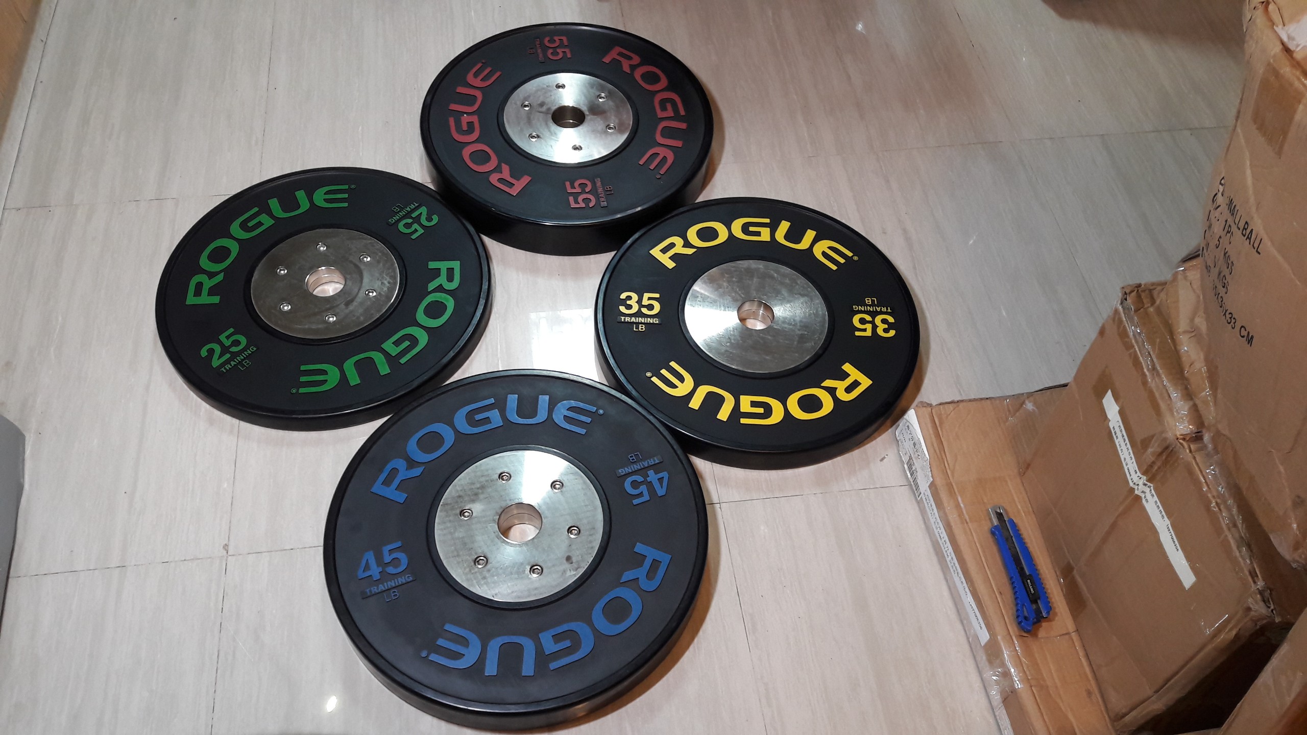 TẠ BÁNH (rogue)
