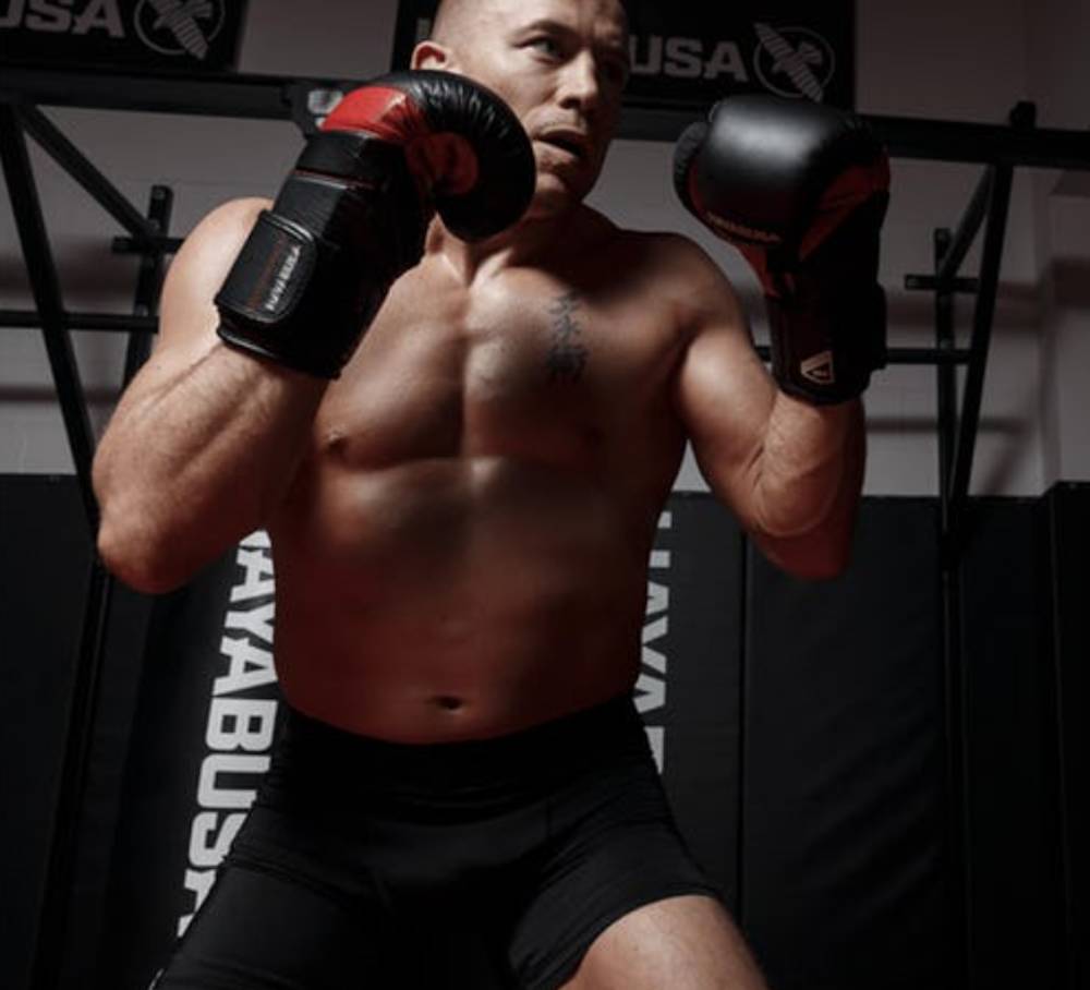 HAYABUSA T3 BOXING GLOVES( NHIỀU MẪU)