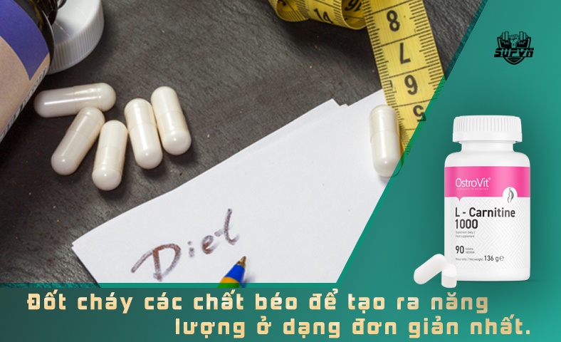 L CARNITINE 1000 OSTROVIT 90v