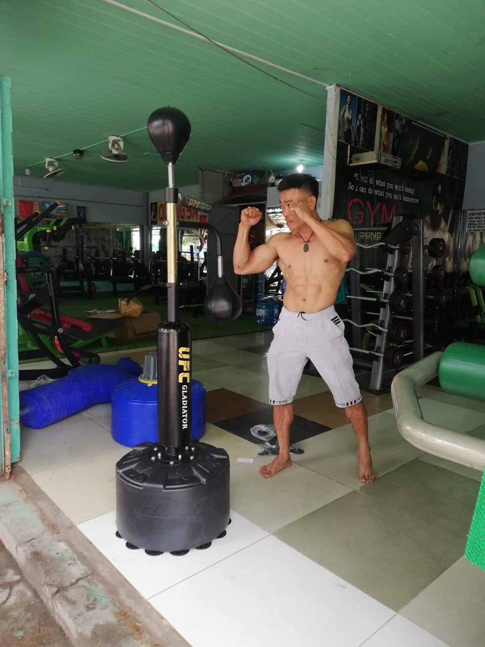 Bao cát đứng TRỤ ĐẤM PHẢN XẠ+ NÉ TRÁNH cobra bag boxing