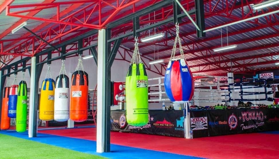 BAO ĐẤM YOKKAO EDEN GREEN/ORANGE TIGER HEAVY BAG 1m8