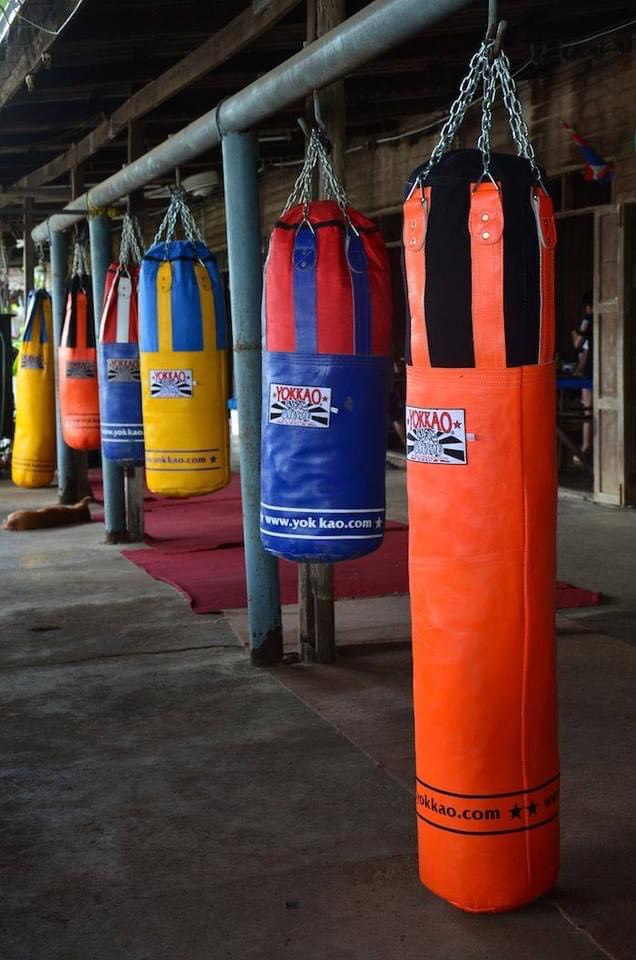 BAO ĐẤM YOKKAO EDEN GREEN/ORANGE TIGER HEAVY BAG 1m8