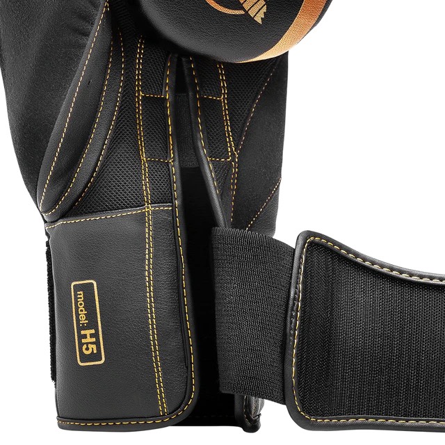 GĂNG Hayabusa H5 Boxing Gloves